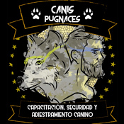 Canis Pugnaces